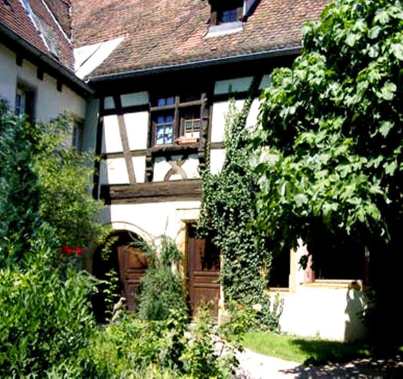 La Grenouille Apartment Туркхайм Екстериор снимка
